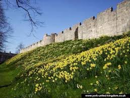 york wall